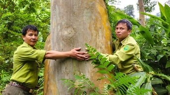 Thanh Hóa có thêm một Vườn quốc gia