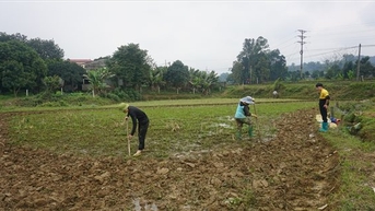Sau Tết nông dân Lào Cai xuống đồng sản xuất vụ Xuân