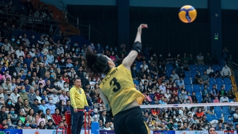 CLB bóng chuyền Indonesia khởi sắc sau khi chia tay Trần Thị Thanh Thúy