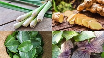 Mách bạn bài thuốc cổ truyền hữu hiệu giải cảm cúm, ngạt mũi, đau họng