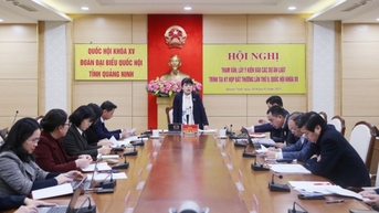 Đoàn ĐBQH tỉnh lấy ý kiến góp ý vào các dự thảo luật trình tại Kỳ họp 9, Quốc hội khóa XV