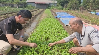 "Sống lại" những cánh đồng sau lũ