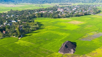 Hồi sinh gốm cổ Yang Tao