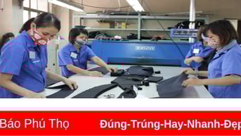 Tăng tốc sản xuất cho đơn hàng xuất khẩu