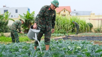 Ban CHQS TX Quảng Yên: Vượt khó tăng gia sản xuất tốt