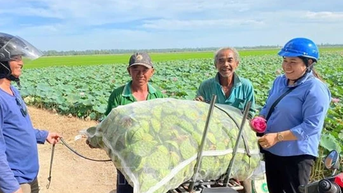 Ứng dụng công nghệ, chuyển sản xuất nông nghiệp theo hướng 'thuận thiên'