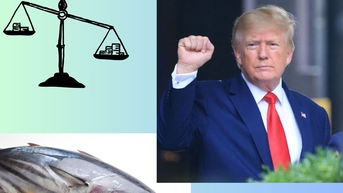 Chính sách thuế mới của Trump tác động thế nào tới xuất khẩu cá ngừ Việt Nam?