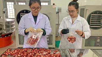 'Biến hóa', nâng tầm giá trị nông sản Đà Lạt