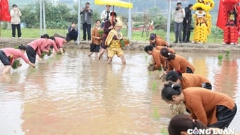 Về Phú Thọ xem tái hiện tích xưa Vua Hùng dạy dân cấy lúa