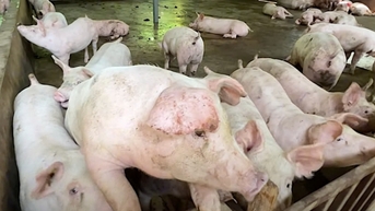 Miền Bắc và Nam tăng mạnh
