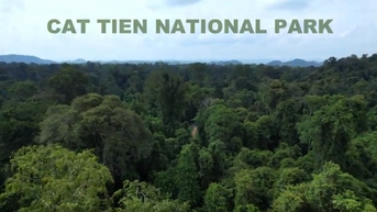 Charming Vietnam  [ Cat Tien National Park ]