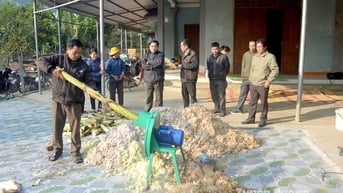 Thúc đẩy sản xuất, sử dụng phân bón hữu cơ: Vì một nền nông nghiệp bền vững