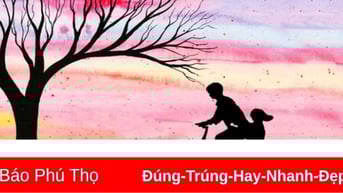 Tình cha 