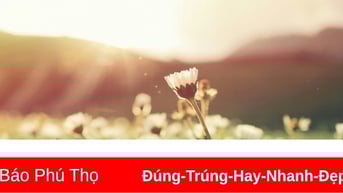 Ngôi nhà của cỏ
