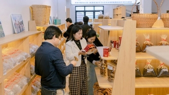 Quảng Trị bố trí kinh phí hỗ trợ doanh nghiệp nhỏ và vừa