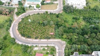 Cơ quan chức năng Đắk Nông nói gì về việc nắn đường thành hình chữ U?