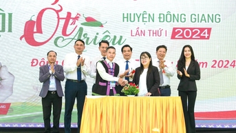 Liên kết sản xuất theo chuỗi giá trị ở Đông Giang: Chưa như kỳ vọng