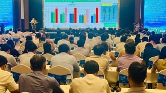 Ứng dụng công nghệ chuyển đổi số, chuyển đổi xanh trong sản xuất lúa gạo