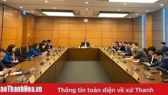 Cần có phương án tài chính đánh giá rất cụ thể về hiệu quả của dự án