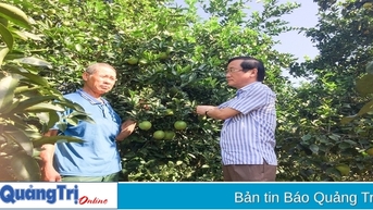 Người tâm huyết với vùng đất Hải Lăng