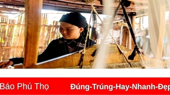 Câu chuyện từ sợi bông người La Chí
