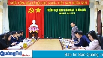 Thẩm tra việc điều chỉnh tốc độ tăng trưởng GRDP năm 2025 trình kỳ họp thứ 29 HĐND tỉnh khóa VIII