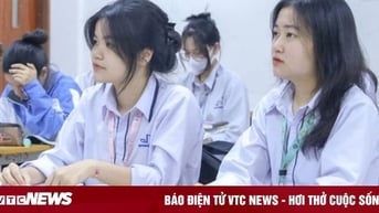 3 vị trí việc làm ngành Marketing lương vài chục triệu đồng/tháng