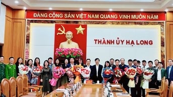 Hàng loạt lãnh đạo cấp xã ở TP Hạ Long xin nghỉ hưu trước tuổi