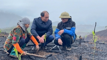 Để những cánh rừng mãi thêm xanh