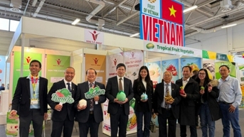 Xúc tiến xuất khẩu rau, quả Việt vào thị trường EU