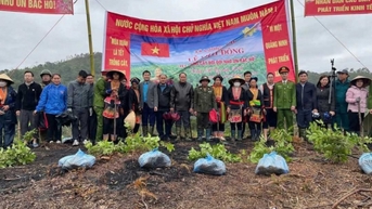 Lương Minh đang chuyển mình