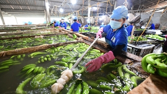Ám ảnh thất nghiệp từ sau dịch COVID-19, lao đao tìm việc ở tuổi trung niên
