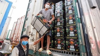 Kiểm soát dư lượng hóa chất trong trái cây: phải làm từ gốc, phối hợp với công an