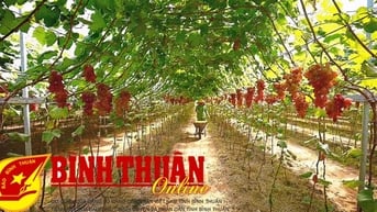 Phát huy hơn nữa ngành nông nghiệp ứng dụng công nghệ cao