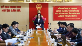 Phó Chủ tịch UBND tỉnh Nguyễn Thị Hạnh làm việc với huyện Đầm Hà