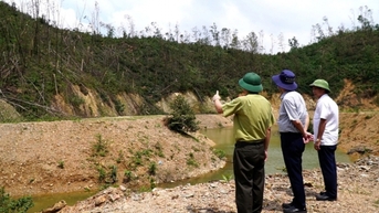 “Trong tháng 2/2025 các đơn vị, chủ rừng nộp hồ sơ đề nghị thanh lý rừng trồng bị thiệt hại do bão Yagi”