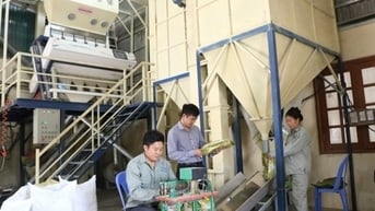 Lào Cai hỗ trợ 7 cơ sở công nghiệp nông thôn