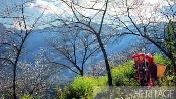 Sắc xuân nơi núi rừng Tây Bắc