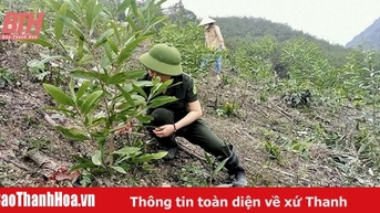 Ứng dụng khoa học và công nghệ trong chọn tạo giống cây trồng