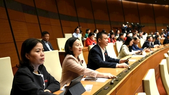 រចនាសម្ព័ន្ធ​ចំនួន​សមាជិក​រដ្ឋាភិបាល​ត្រូវ​សម្រេច​ដោយ​នាយករដ្ឋមន្ត្រី ហើយ​ដាក់​ជូន​រដ្ឋសភា។