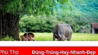Giữa quê lòng lại nhớ quê