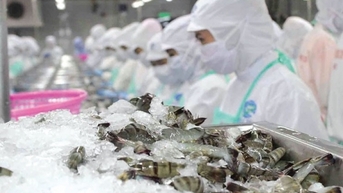Tháng 1/2025, xuất khẩu thủy sản sang Trung Quốc tăng 80,8%