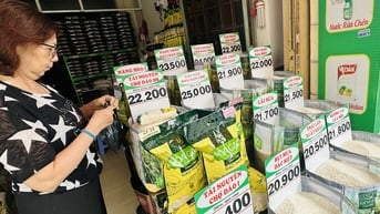 Tìm lý do giá gạo xuất khẩu giảm, nhưng giá trong nước vẫn cao