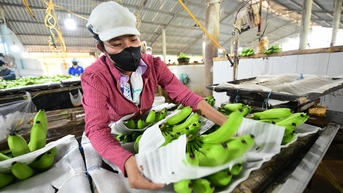 ADB tăng quy mô tài trợ lên 36 tỉ USD