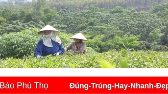 Nâng cao giá trị, sức cạnh tranh cho sản phẩm địa phương