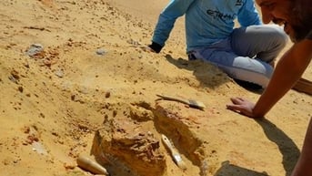 “Kẻ soán ngôi khủng long” lộ diện giữa lãnh địa kim tự tháp