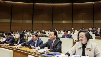 Điện hạt nhân Ninh Thuận được áp dụng chỉ định thầu quy trình rút gọn