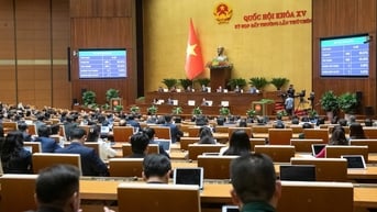 Chậm nhất sau 5 năm sắp xếp tổ chức bộ máy, giảm số lượng cấp phó về đúng quy định