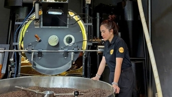 Giá cà phê hôm nay 19/2/2025 đồng loạt giảm đều