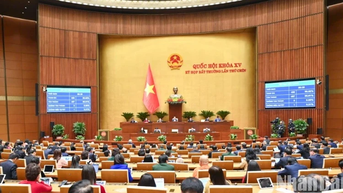 Phấn đấu thực hiện thành công mục tiêu tăng trưởng 8% trở lên năm 2025